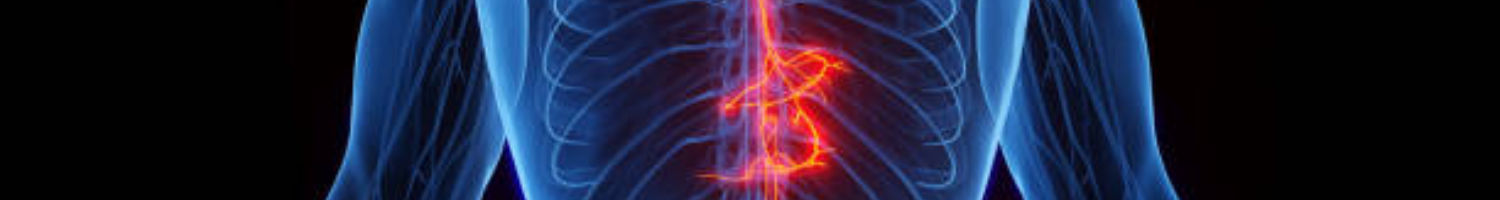 2026 NCH Vagus Nerve Stimulation (VNS) for Stroke Recovery: Clinical Integration & Best Practices Banner